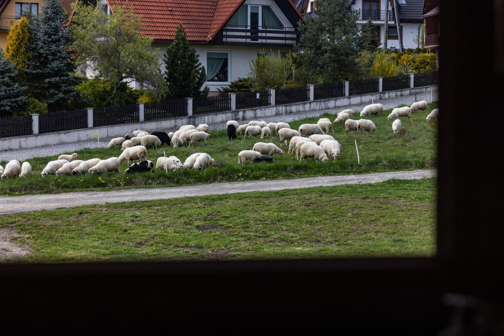 Bajkowy Widok